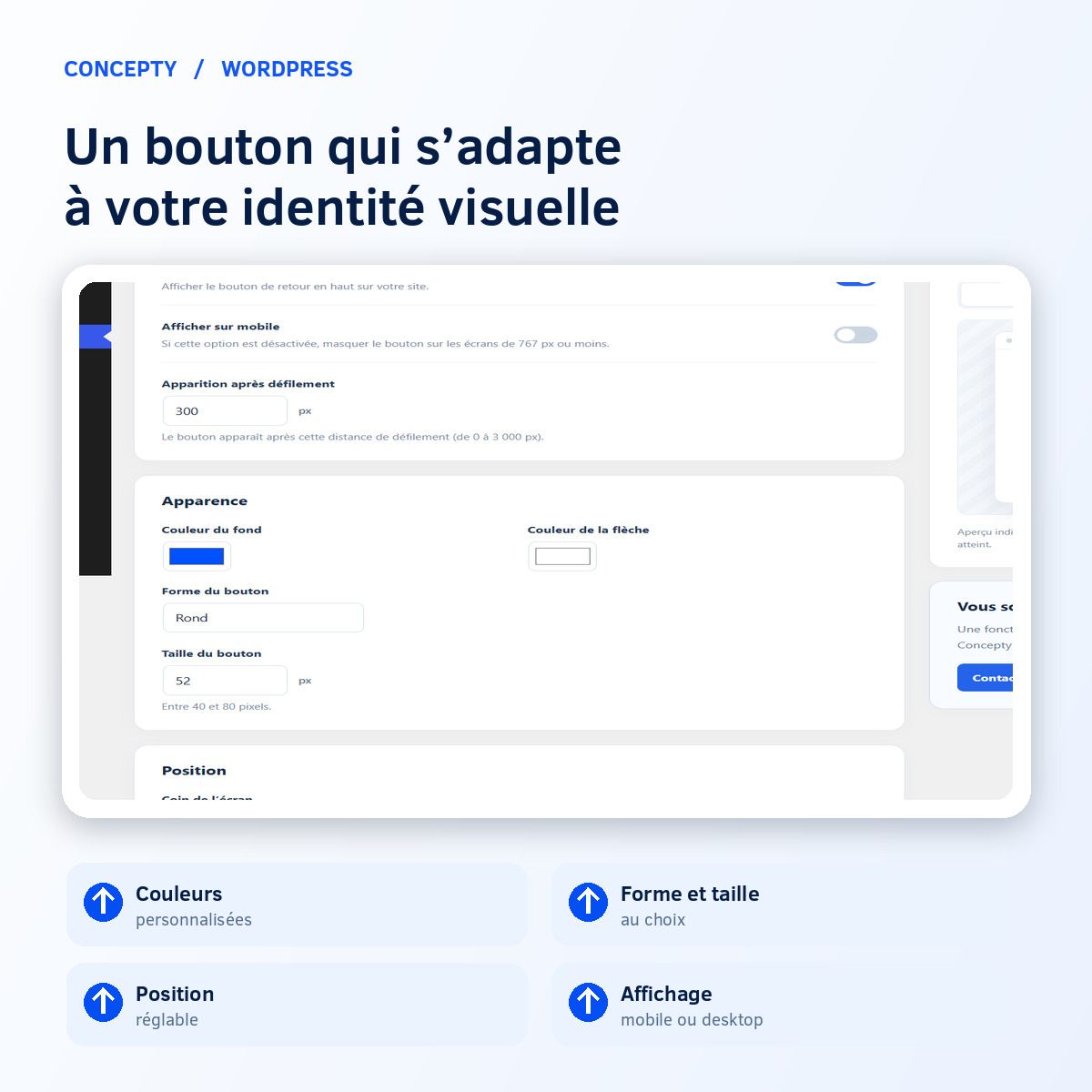 Custom WordPress Scroll to Top button appearance and position settings